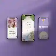 Dainty Sunset In Singapore